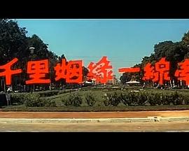 女权运动