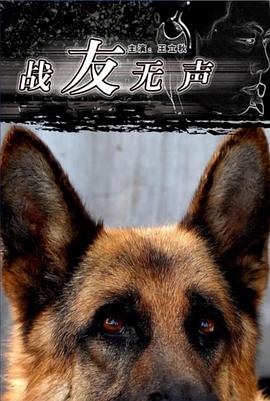 我的世界生活大冒险