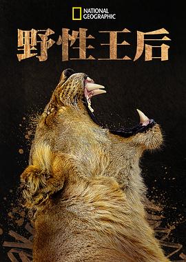 朴振英综艺