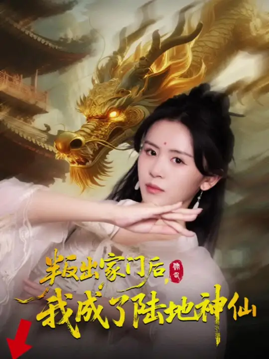 海豚伯尼