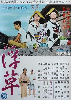 公主小绿腰