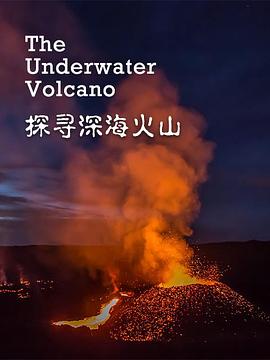 91爱啪啪