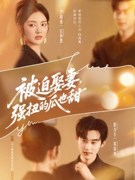 十一去哪玩好