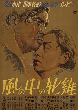我的动物朋友