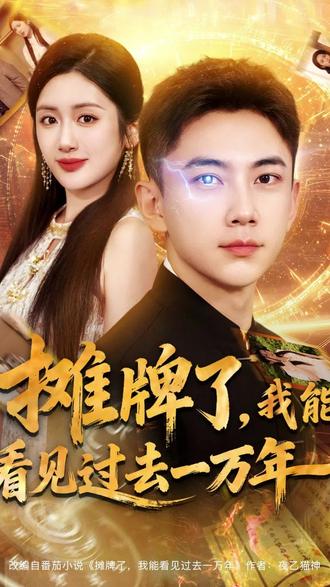 少年辰辰的烦恼电视剧
