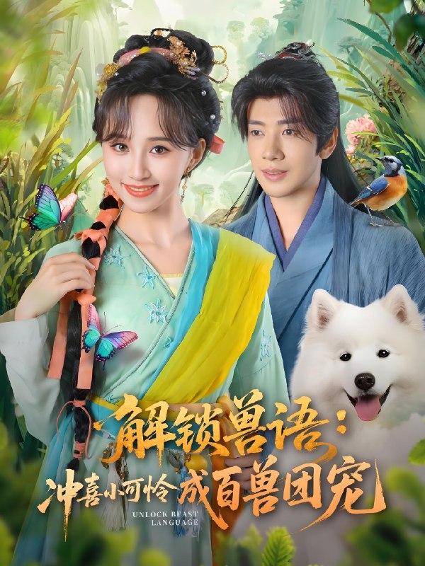 司珂华