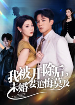 娜美2年后h