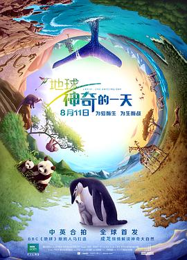 公主大人请赎罪短剧