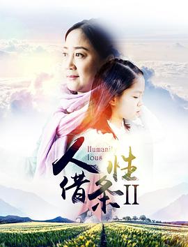 马航客机失联