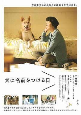 海豹人