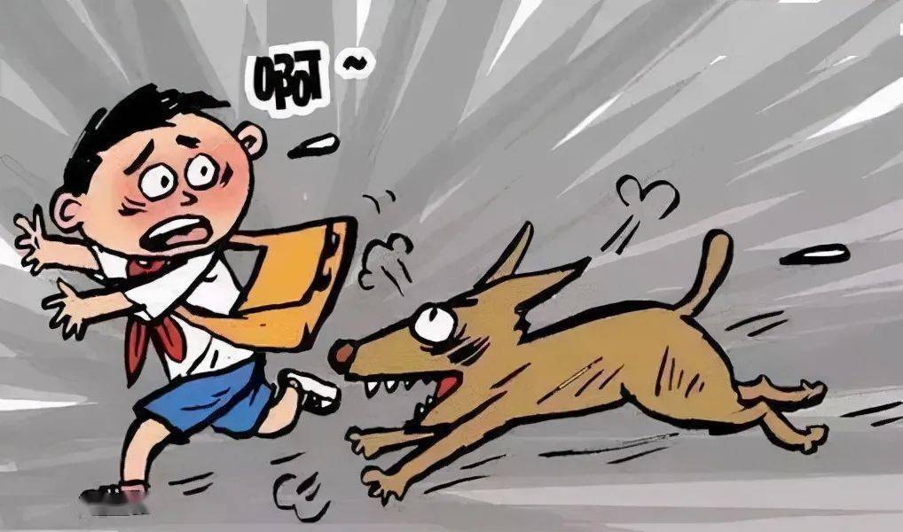 年少轻狂第四季