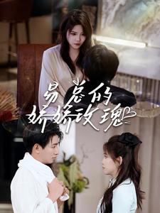 火影忍者512