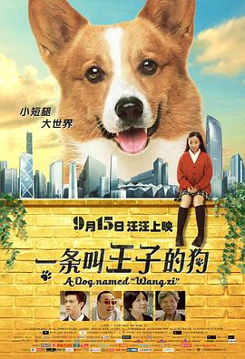 我是特种兵结局