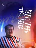 小猫米思蒂