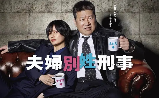 美国继子和后妈的电视剧名字