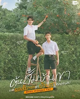 海贼王red抢先版