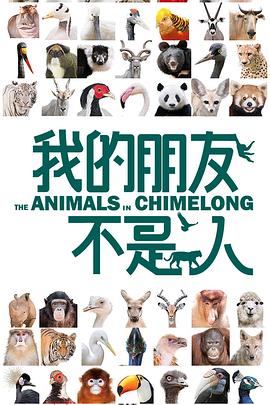 僵尸宝宝